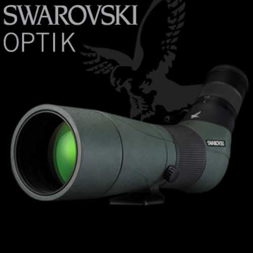 스와로브스키 ATS 65 HD(20-50x W) 스코프 세트 철새